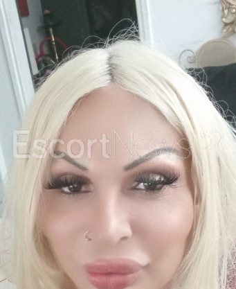 Photo escort girl Sabrina: the best escort service
