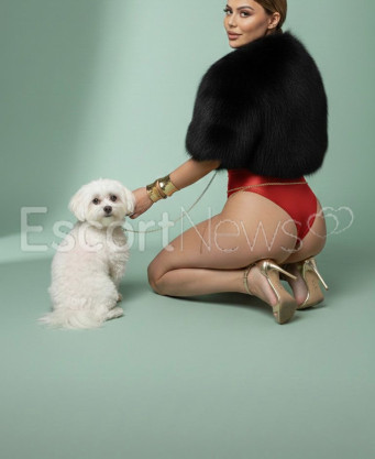 Photo escort girl Queen: the best escort service