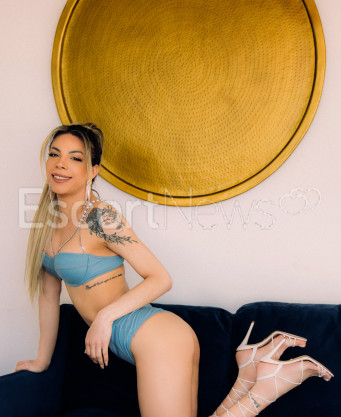 Photo escort girl TS Camila Dinniz : the best escort service