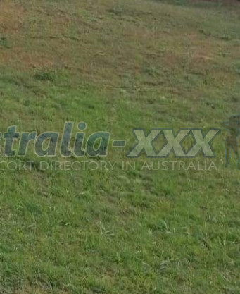 Photo escort girl Curvy : the best escort service