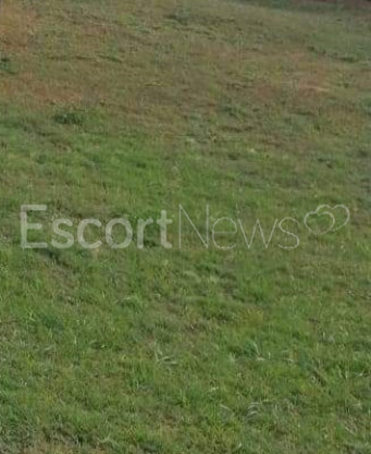 Photo escort girl Curvy : the best escort service