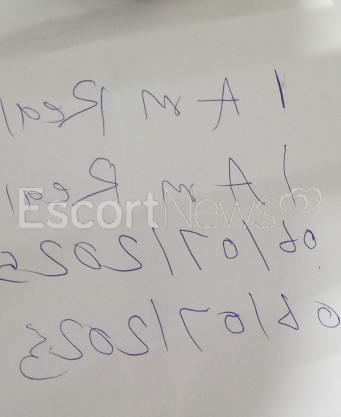Photo escort girl Ahmed swedan : the best escort service