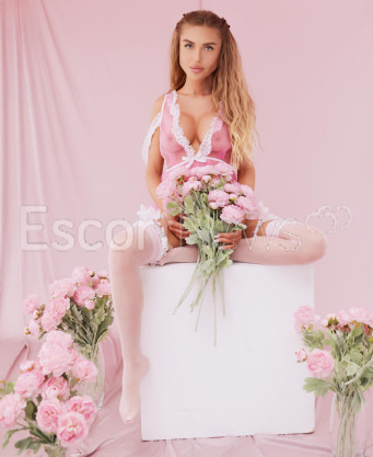 Photo escort girl Sasha: the best escort service