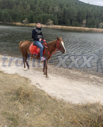 Photo escort girl mert1110: the best escort service